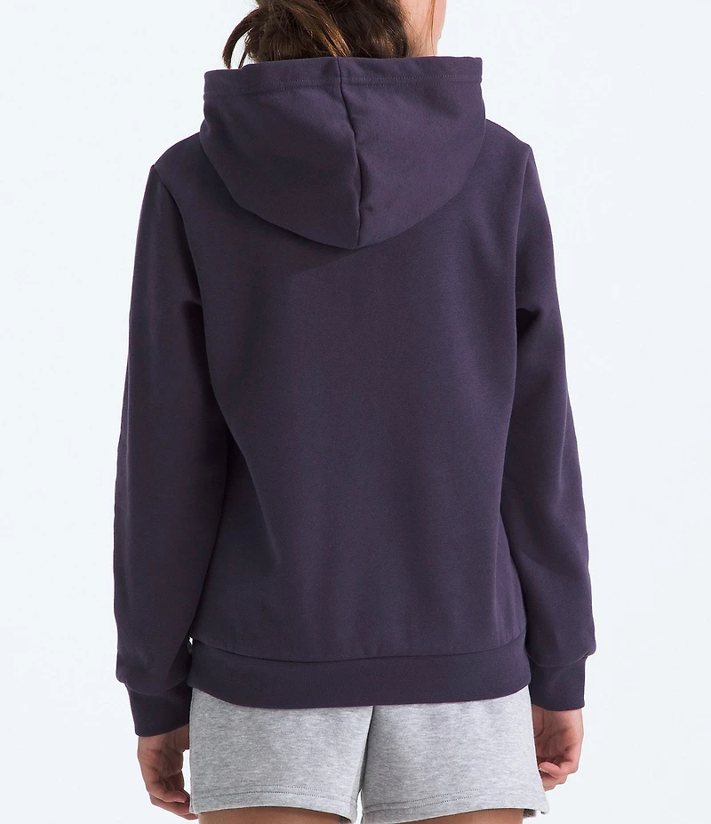 The North Face Big Kids Teen Evolution Simple Dome Pullover Hoodie