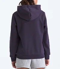 The North Face Big Kids Teen Evolution Simple Dome Pullover Hoodie