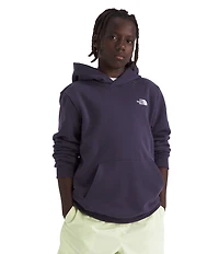 The North Face Big Kids Teen Evolution Simple Dome Pullover Hoodie