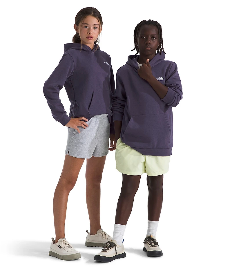 The North Face Big Kids Teen Evolution Simple Dome Pullover Hoodie