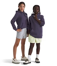 The North Face Big Kids Teen Evolution Simple Dome Pullover Hoodie
