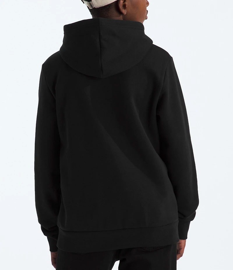 The North Face Big Kids Teen Evolution Simple Dome Pullover Hoodie