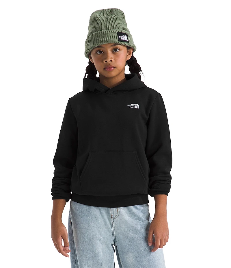 The North Face Big Kids Teen Evolution Simple Dome Pullover Hoodie