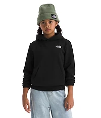 The North Face Big Kids Teen Evolution Simple Dome Pullover Hoodie