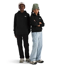 The North Face Big Kids Teen Evolution Simple Dome Pullover Hoodie