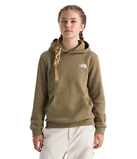 The North Face Big Kids Teen Evolution Simple Dome Pullover Hoodie