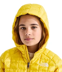 The North Face Big Kids ThermoBall™ Hooded Jacket