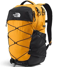 The North Face Borealis FlexVent Backpack