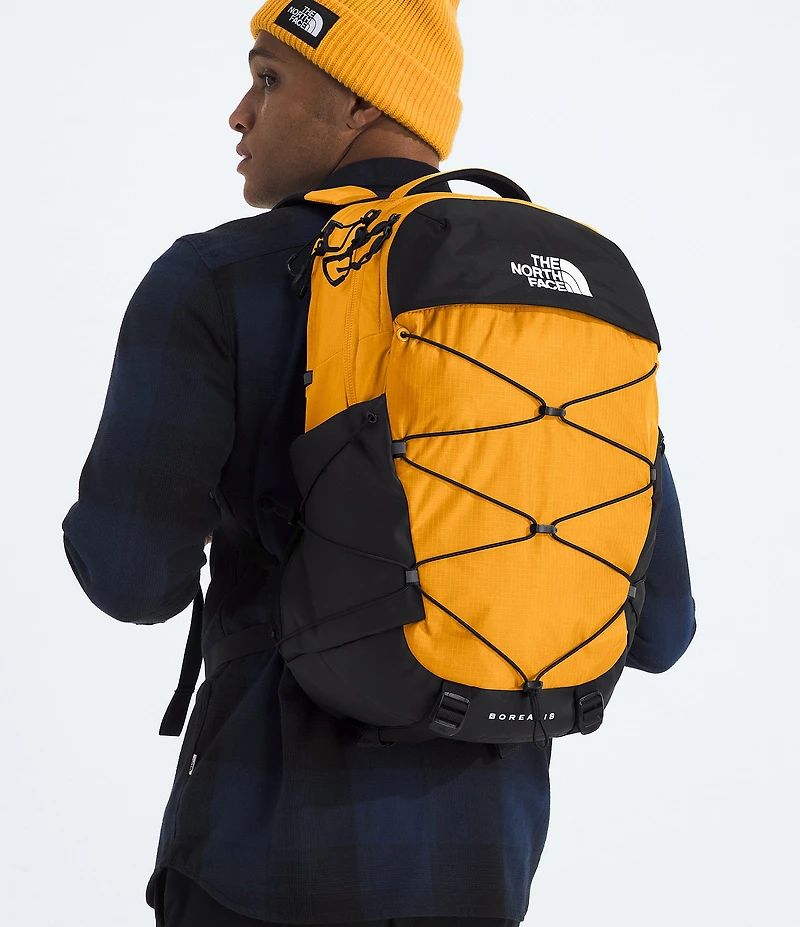 The North Face Borealis FlexVent Backpack