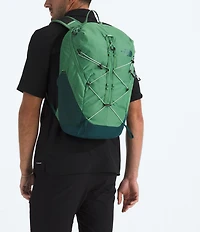 The North Face Borealis Trail Backpack