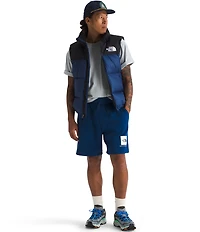 The North Face Box NSE Regular Shorts