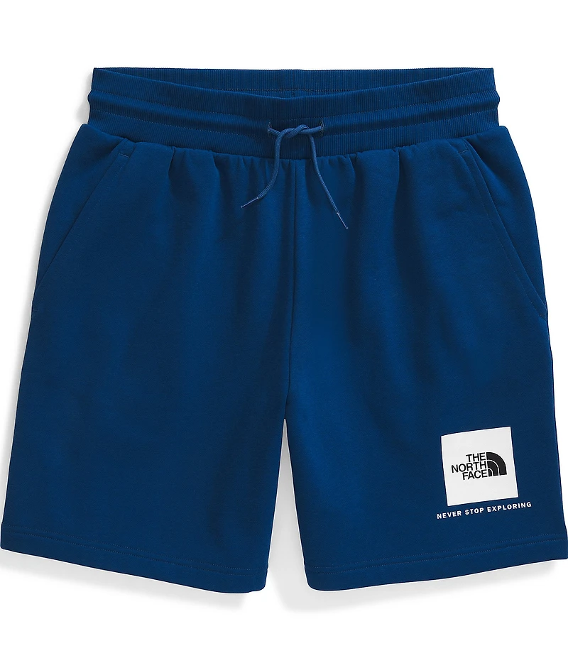 The North Face Box NSE Regular Shorts