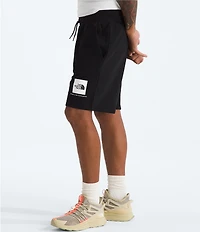The North Face Box NSE Regular Shorts