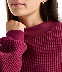 The North Face Chabot 2.0 Waffle Knit Mock Neck Rugged Utility Pullover