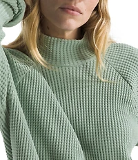 The North Face Chabot Cotton Thermal Knit Mock Neck Long Sleeve Top