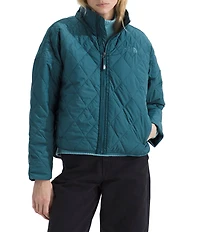 The North Face Diamond Quilt Peak Insulated Zip Front Jacket