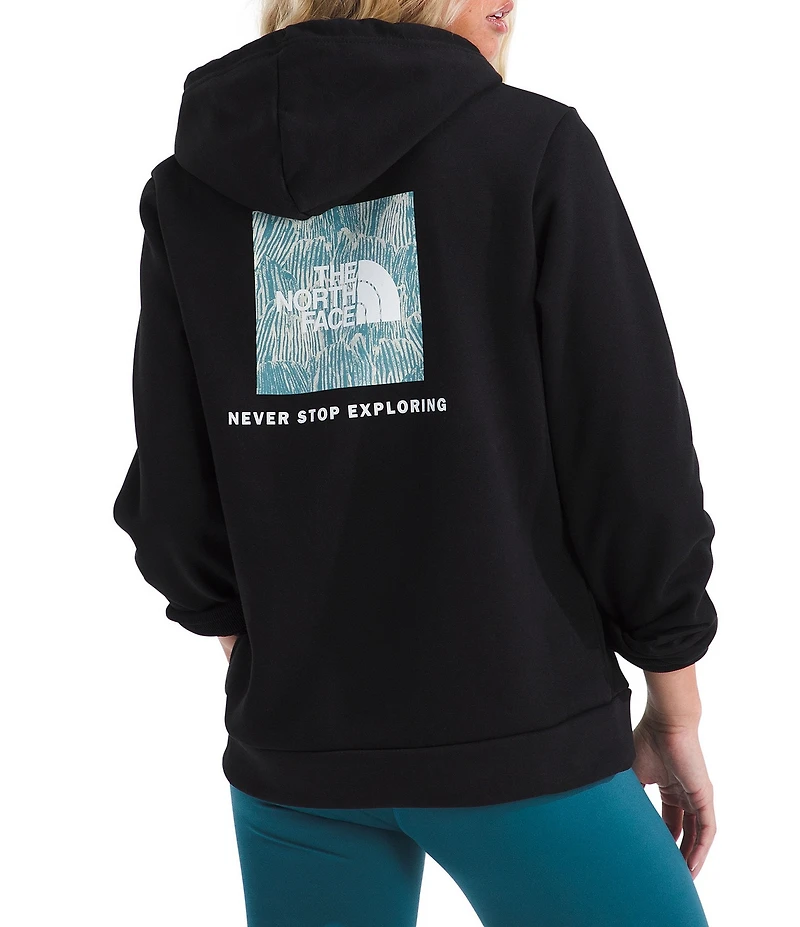 The North Face Evolution Box Fill Graphic Hoodie Pullover