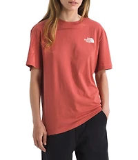 The North Face Evolution Box NSE Crew Neck Short Sleeve Graphic Logo Tee