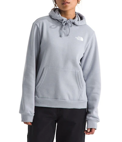 The North Face Evolution Box NSE Fill Light Graphic Print Pullover Hoodie