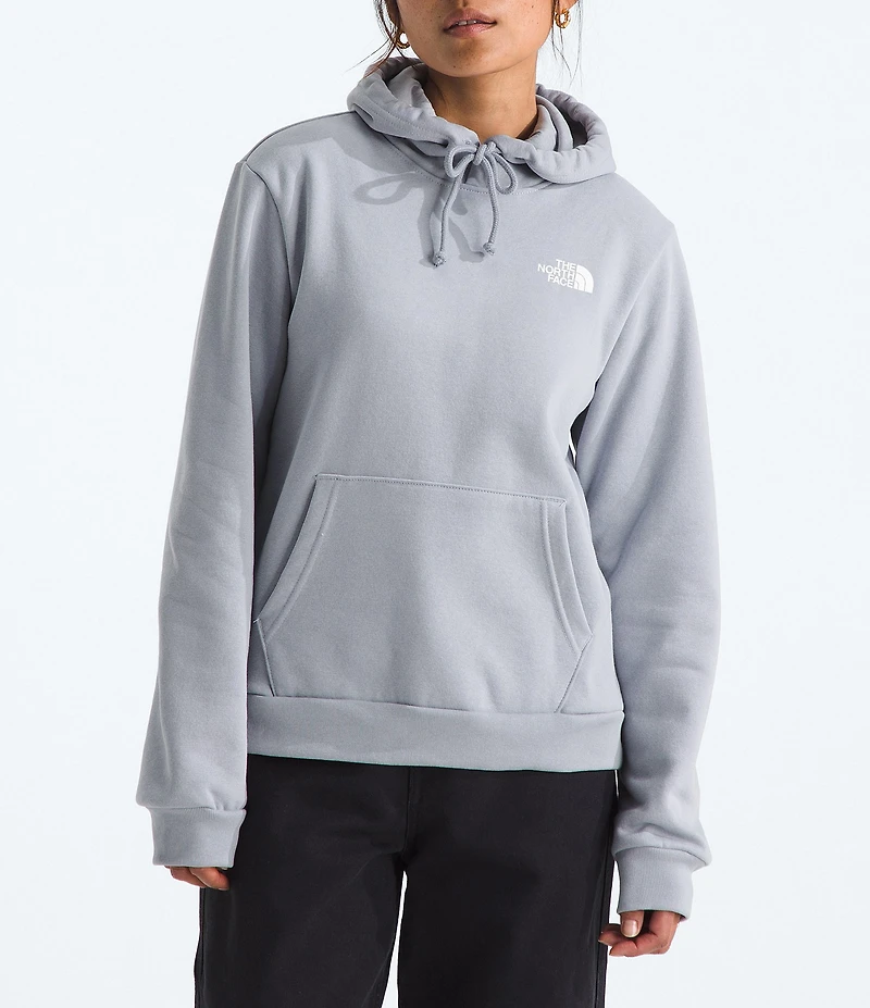 The North Face Evolution Box NSE Fill Light Graphic Print Pullover Hoodie