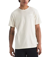 The North Face Evolution Box NSE Short Sleeve T-Shirt