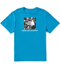 The North Face Evolution Box Toss Fill Short Sleeve T-Shirt