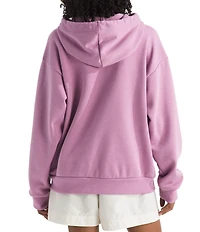 The North Face Evolution EMB Embroidered Logo Oversize Hoodie Pullover