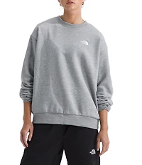 The North Face Evolution Embroidered Logo Crew Neck Long Sleeve Pullover