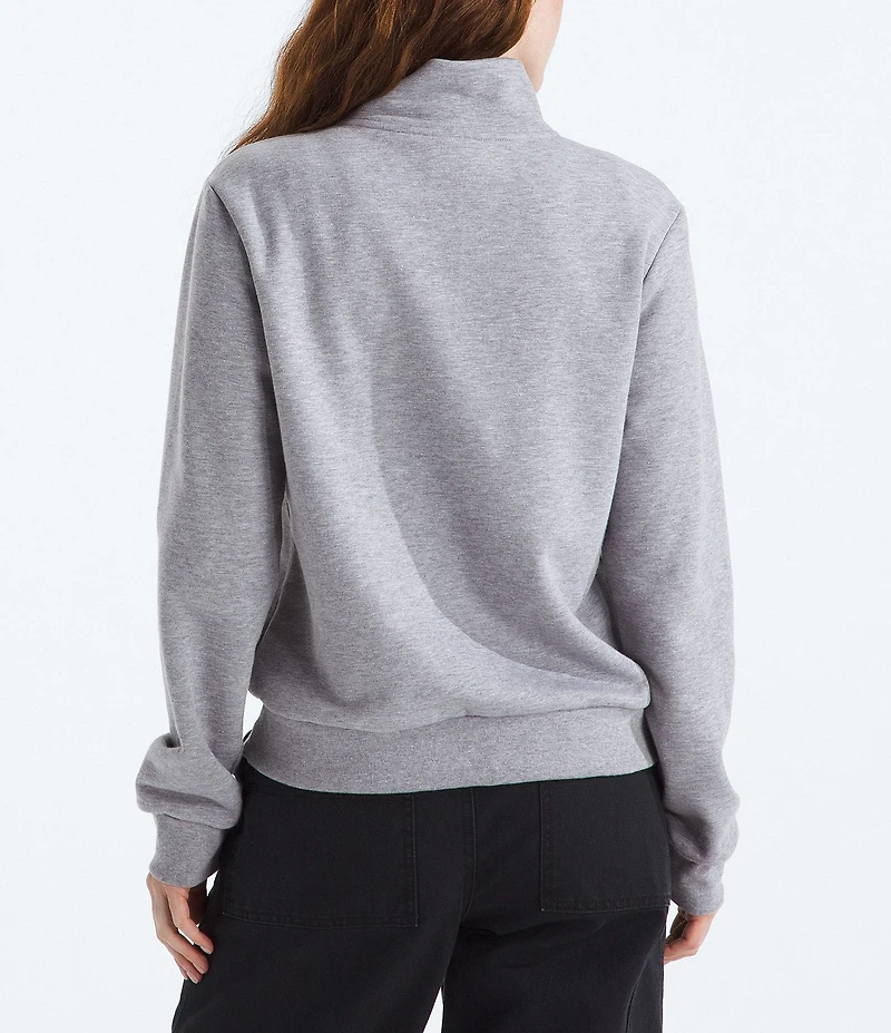 The North Face Evolution Embroidered Logo Mock Neck Quarter Zip Pullover