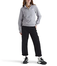 The North Face Evolution Embroidered Logo Mock Neck Quarter Zip Pullover
