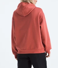 The North Face Evolution Embroidered Oversize Hoodie Pullover