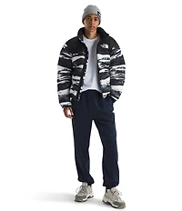 The North Face Evolution Fleece Jogger Pants