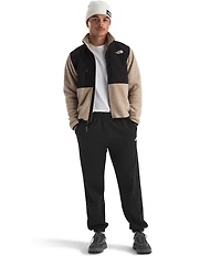 The North Face Evolution Fleece Jogger Pants