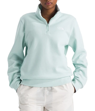The North Face Evolution Half Zip Mock Stand Long Sleeve Pullover