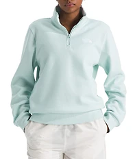 The North Face Evolution Half Zip Mock Stand Long Sleeve Pullover