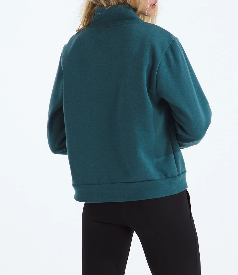 The North Face Evolution Half Zip Mock Stand Long Sleeve Pullover
