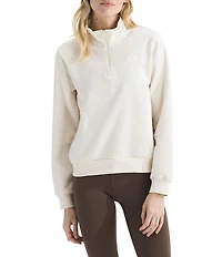 The North Face Evolution Half Zip Mock Stand Long Sleeve Pullover