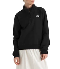 The North Face Evolution Half Zip Mock Stand Long Sleeve Pullover