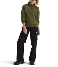 The North Face Evolution Half Zip Mock Stand Long Sleeve Pullover