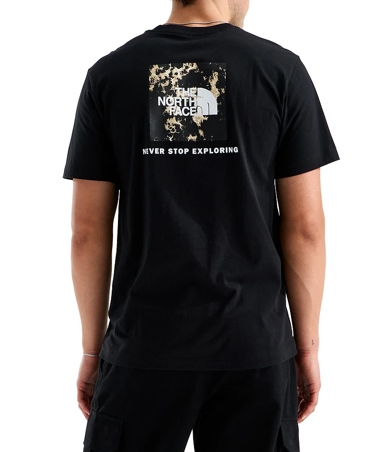 The North Face Evolution Light Print NSE Regular T-Shirt