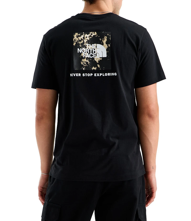 The North Face Evolution Light Print NSE Regular T-Shirt