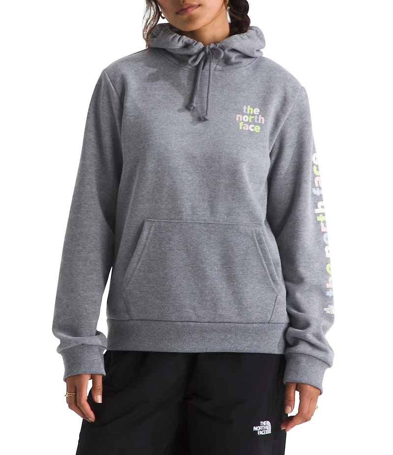 The North Face Evolution Proud Graphic Hoodie Pullover