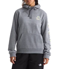 The North Face Evolution Proud Graphic Hoodie Pullover