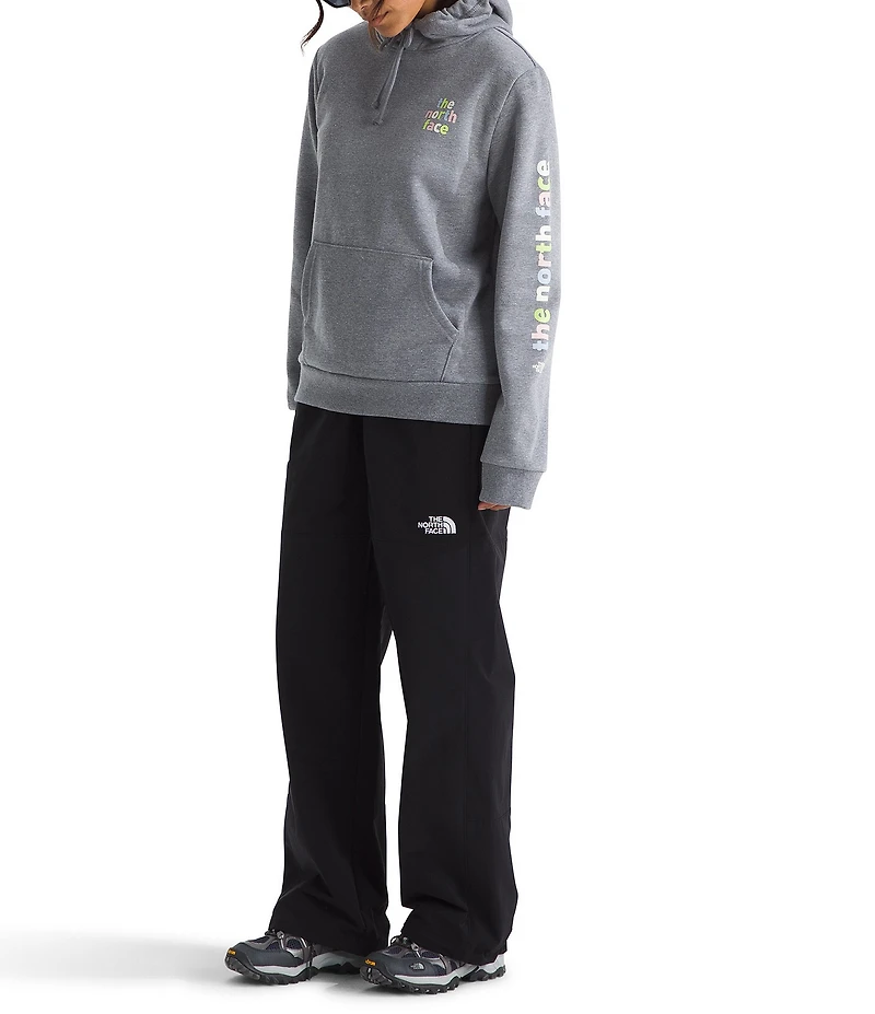 The North Face Evolution Proud Graphic Hoodie Pullover