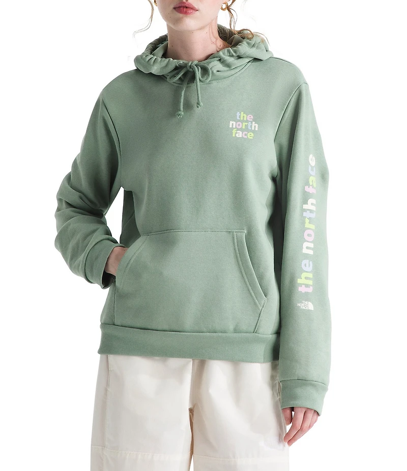 The North Face Evolution Proud Graphic Hoodie Pullover