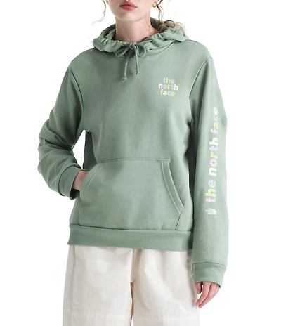 The North Face Evolution Proud Graphic Hoodie Pullover