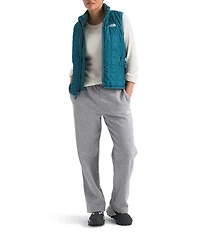 The North Face Evolution Simple Straight Leg Elastic Waist Slim Fit Pull-On Pants