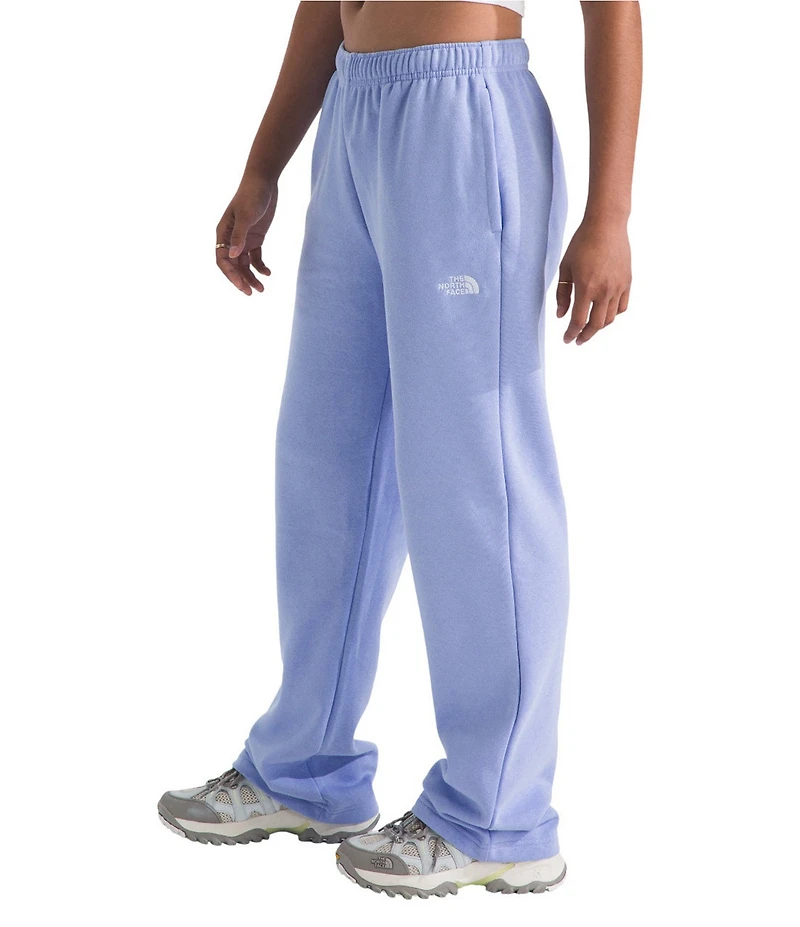 The North Face Evolution Simple Straight Leg Elastic Waist Slim Fit Pull-On Pants