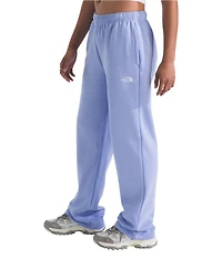 The North Face Evolution Simple Straight Leg Elastic Waist Slim Fit Pull-On Pants