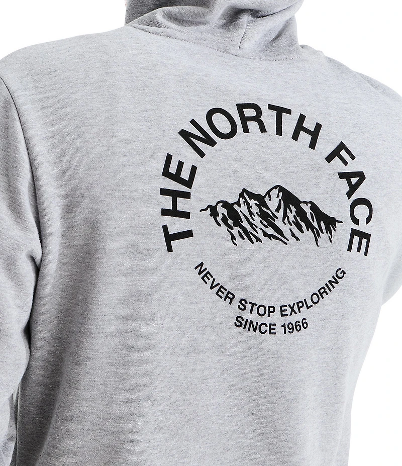 The North Face Evolution TNF NSE Regular Hoodie
